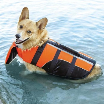 Dog Life Jacket Reviews