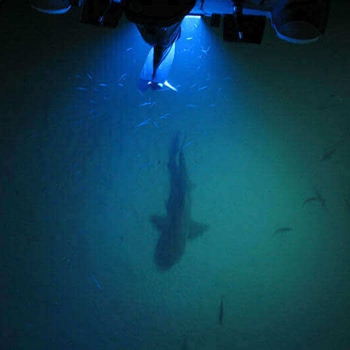 Fishing With Underwater Boat Lights